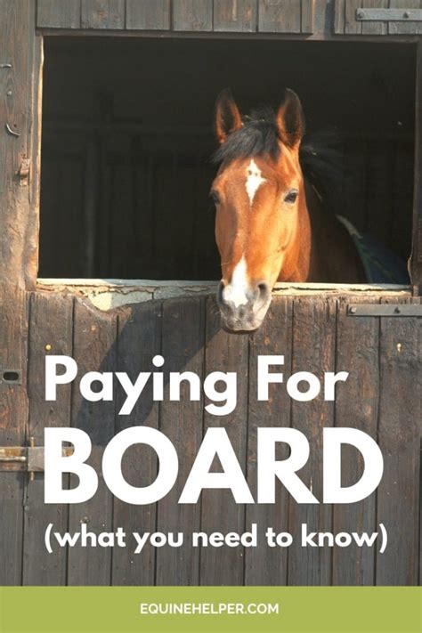 How much does it cost to board a horse. Things To Know About How much does it cost to board a horse. 